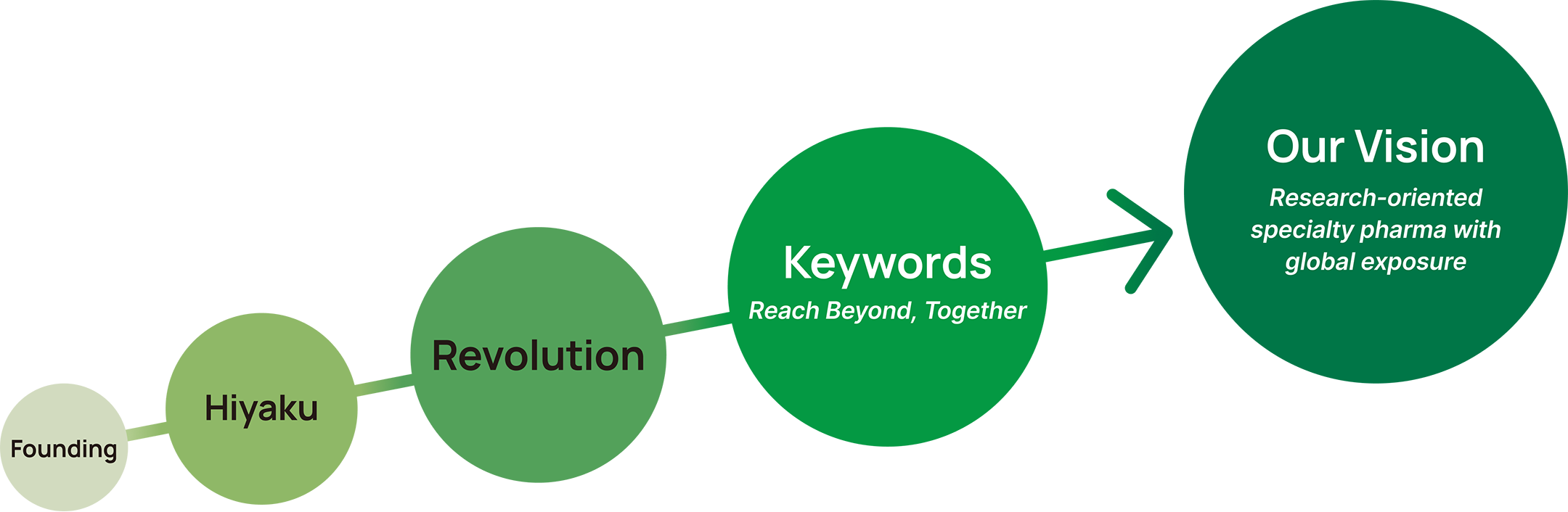 Founding, Hiyaku, Revolution, Keywords, Our Vision